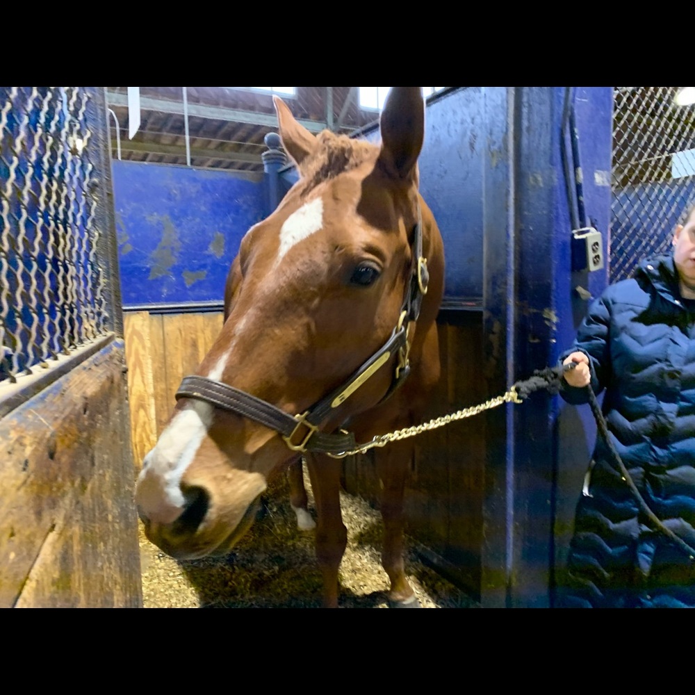 Meet your Posher, Aimee